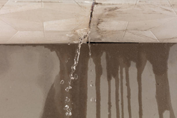 Professional Flood Damage Cleanup technician working in Murfreesboro, NC